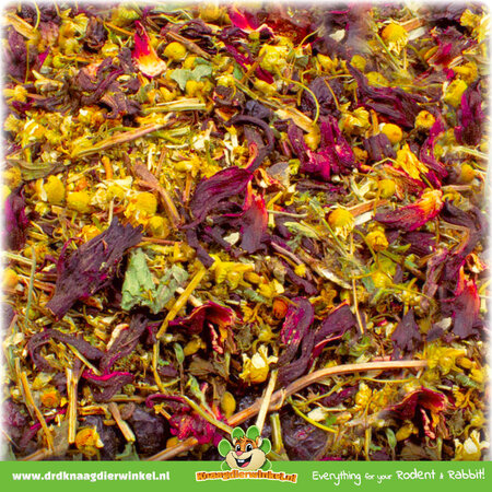 JR Farm Chinchilla Sueño 75 gramos