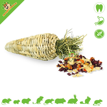 JR Farm Stuffed Nibble Carrot for Rodents and Rabbits