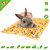 JR Farm Alfombrilla para roedores de 33 cm
