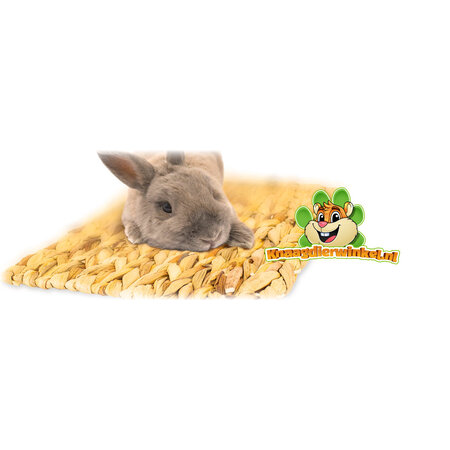 JR Farm Water Hyacinth Chew Mat for Rodents & Rabbits