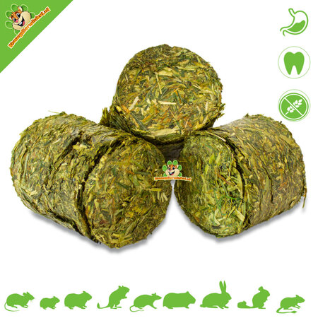 JR Farm Getreidelose HEALTH Vital HayChunks Respiratory