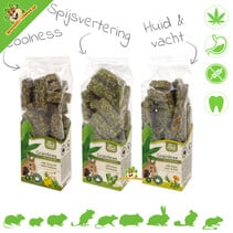 Getreidefreie Gesundheitshanf-Sticks