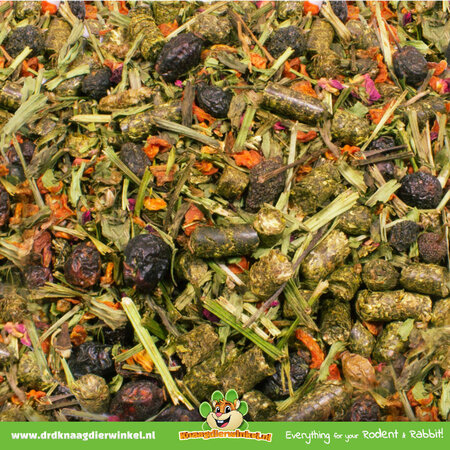 JR Farm Szynszyla specjalna z dziką różą i pokrzywą