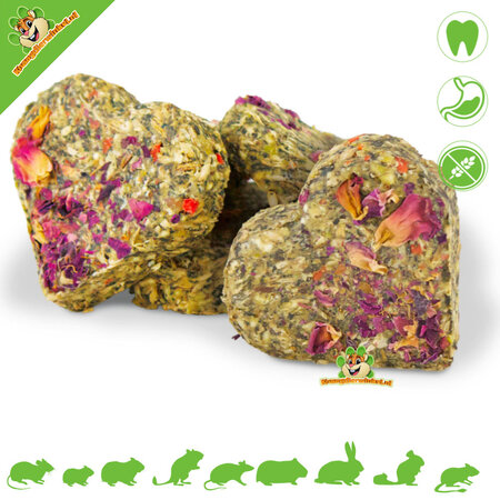 JR Farm Bezziarnisty kwiat róży w kształcie serc