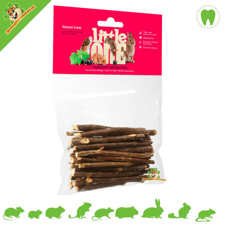 Mealberry Little One Gnaw Wood Currant branches for Rodents and Rabbits