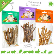 Pequeño y delicioso juguete de madera para masticar