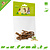 Mealberry Löwenzahnwurzel „Little One“, 35 Gramm