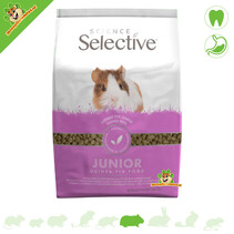 Cochon d'Inde Junior sélectif