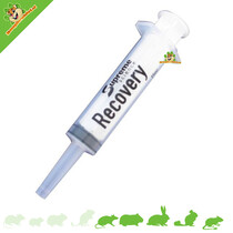 Recovery Spuitje 15 ml