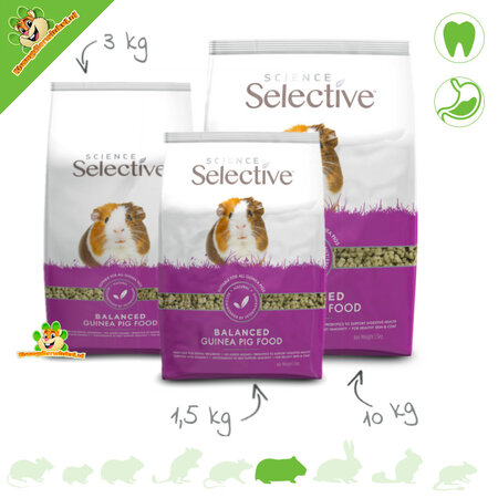 Supreme Nourriture sélective pour cochons d'Inde - Nourriture saine pour cochons d'Inde !