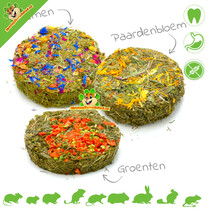 Grainless Hay Cookie 10 cm