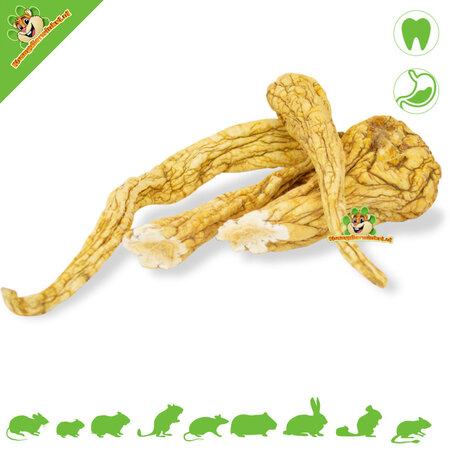 JR Farm Racine de panais