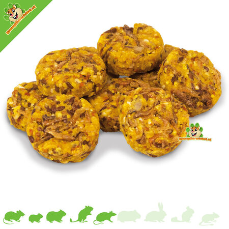 JR Farm Biscuits aux crevettes pour rongeurs mangeurs de protéines