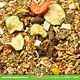 JR Farm Farm Food Alimento para Jerbos Adulto 500 gramos Alimento Natural para Jerbos