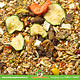 JR Farm Farm Food Gerbil Food Adult 500 grammes Nourriture naturelle pour gerbille