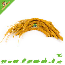 Spray Millet Yellow 250 Gramm