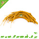 JR Farm Spray Millet Yellow for Rodents & Birds