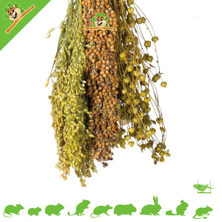 JR Farm Cosecha con recogida y mosca