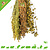JR Farm Recolección y cosecha con mosca