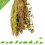 JR Farm Recolección y cosecha con mosca