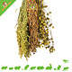 JR Farm Recolección y cosecha con mosca