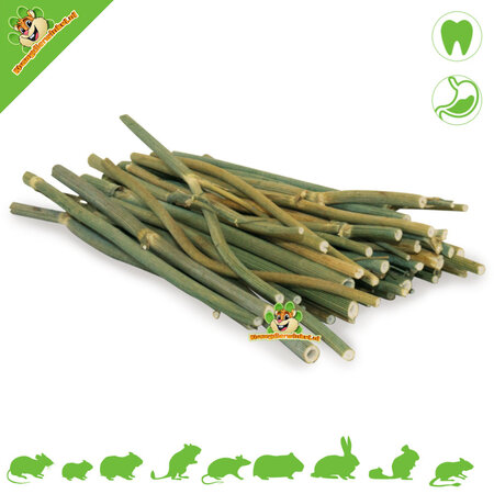 JR Farm Bâtonnets d'aneth 15 grammes