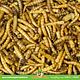 JR Farm Gedroogde Meelwormen