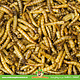 JR Farm Vers de farine pour souris, hamsters, gerbilles et rats