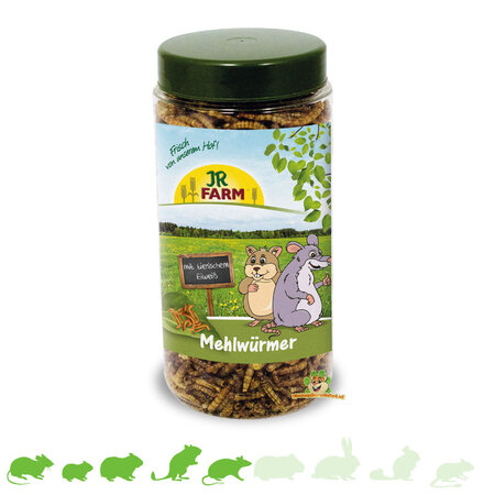 JR Farm Gusanos de harina secos 70 gramos