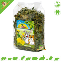 Paardenbloem 100 gram