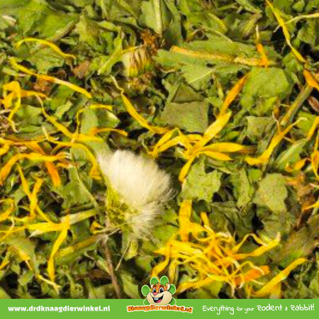 JR Farm Pissenlit 100 grammes