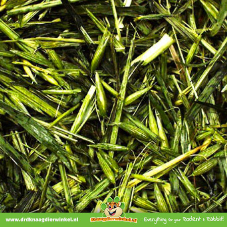 JR Farm Avoine verte