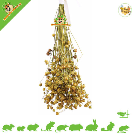 JR Farm Linseed Flax Harvest Plant for Rodents & Birds
