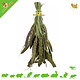 JR Farm Ernte von grüner Senegalhirse