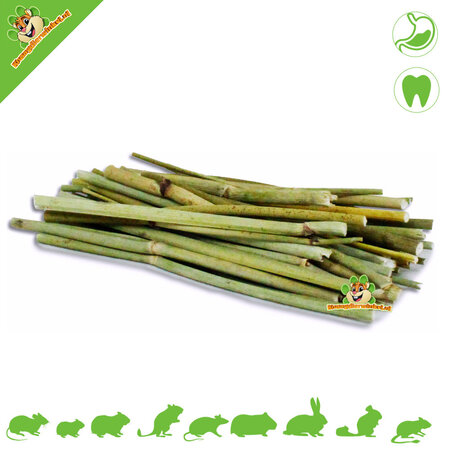 JR Farm Paluszki kopru włoskiego