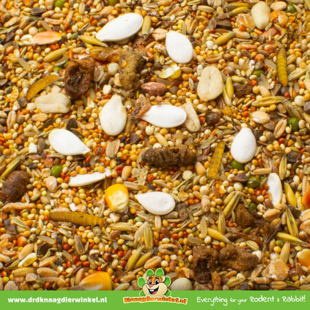 JR Farm Comida para hámster enano Dwarf Hamster Feast 600 gramos