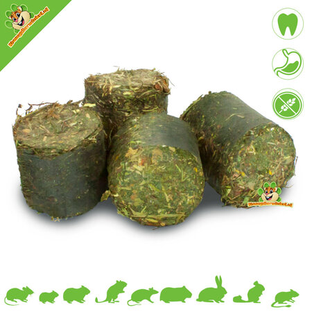 JR Farm Sans céréales HEALTH Vital HayChunks Peau et Pelage