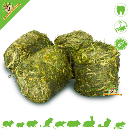 JR Farm Blocs pour l'estomac JR Farm Grainless Health Vital 300 g