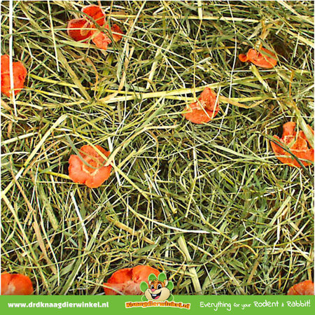 JR Farm Foin de prairie aux carottes pour rongeurs et lapins