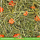 JR Farm Meadow Hay Carrot 500 grams