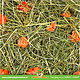 JR Farm Meadow Hay Root 500 grams
