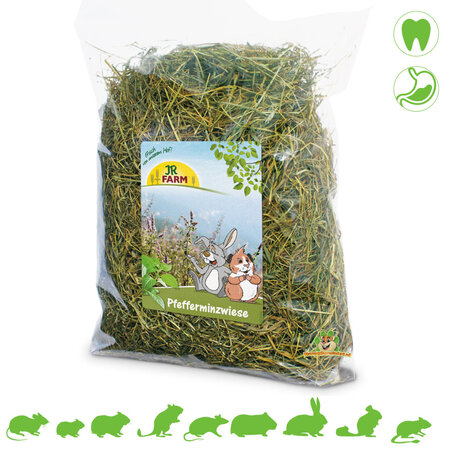 JR Farm Heno de pradera Menta 500 gramos