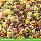 JR Farm Alimento para ratas Rat Schmaus de 2,5 kg para ratas enanas y ratas domésticas.