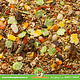 JR Farm Gerbil Schmaus Gerbilfutter 600 Gramm Natürliches Gerbilfutter