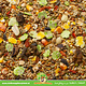 JR Farm Gerbil Schmaus Pokarm dla gerbilów 600 gramów Naturalny pokarm dla gerbilów