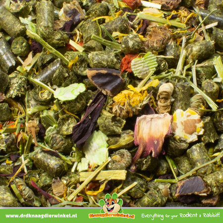 JR Farm Cavia Schmaus Nourriture pour cochons d'Inde sans céréales 1,2 kg