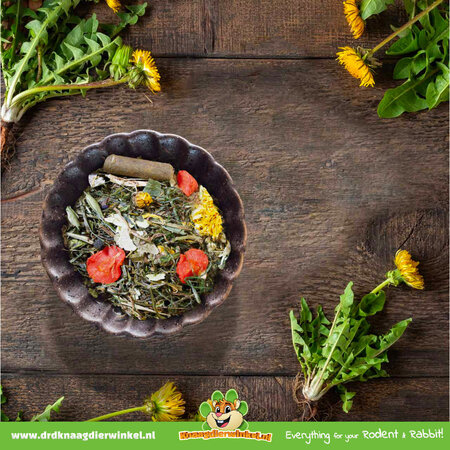 JR Farm Naturalna karma dla świnek morskich Grainless Herbs