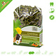 JR Farm Alimento completo natural sin cereales para cobayas Grainless 1,35 kg