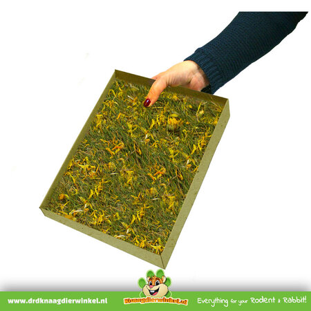 JR Farm Foraging Pasture Herb Meadow 30 cm