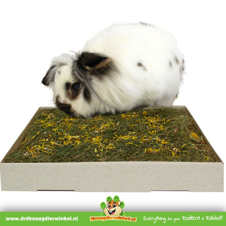 JR Farm Foraging Pasture Herb Meadow 30 cm